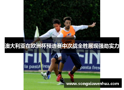 澳大利亚在欧洲杯预选赛中次战全胜展现强劲实力