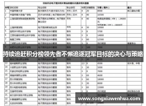 持续追赶积分榜领先者不懈追逐冠军目标的决心与策略