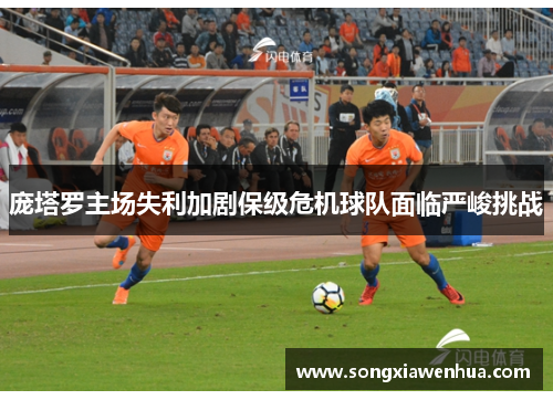 庞塔罗主场失利加剧保级危机球队面临严峻挑战