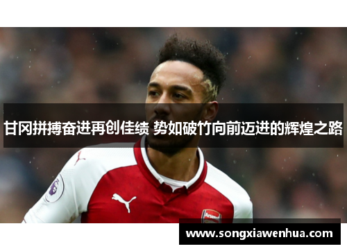 甘冈拼搏奋进再创佳绩 势如破竹向前迈进的辉煌之路