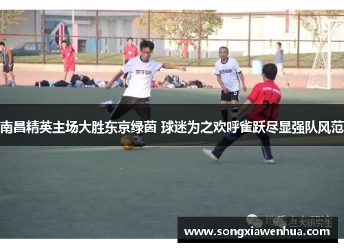 南昌精英主场大胜东京绿茵 球迷为之欢呼雀跃尽显强队风范