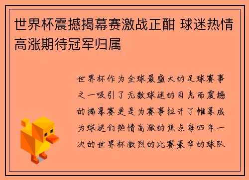 世界杯震撼揭幕赛激战正酣 球迷热情高涨期待冠军归属